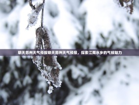 明天苏州天气预报明天苏州天气预报，探索江南水乡的气候魅力