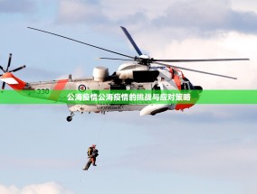 公海疫情公海疫情的挑战与应对策略