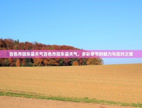 百色市田东县天气百色市田东县天气，多彩季节的魅力与应对之策