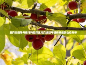 王岗交通限号通行吗最新王岗交通限号通行吗最新动态分析