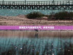 镜湖区天气镜湖区天气，多变与适应