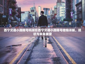 西宁交通小路限号吗现在西宁交通小路限号措施详解，现状与未来展望