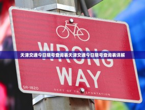天津交通今日限号查询表天津交通今日限号查询表详解