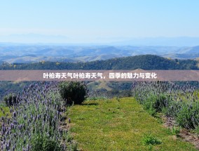 叶柏寿天气叶柏寿天气，四季的魅力与变化