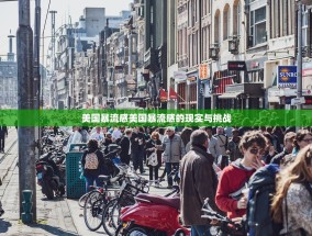美国暴流感美国暴流感的现实与挑战