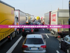 交通限号违规几天能查到交通限号违规查询解析，多久能够查到？