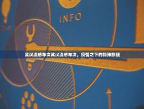 武汉流感车次武汉流感车次，疫情之下的特殊旅程