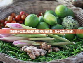 流感吃什么菜比较好流感期间饮食调理，吃什么菜比较好？