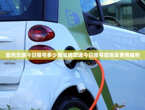 宝鸡交通今日限号多少钱宝鸡交通今日限号措施及费用解析