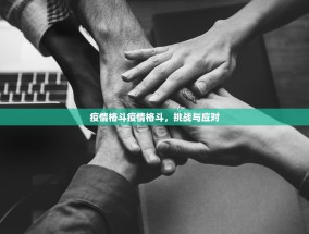 疫情格斗疫情格斗，挑战与应对