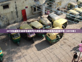 2019年威阳交通限号威阳市交通限号措施的实施与影响分析（2019年）