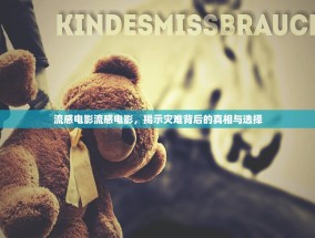流感电影流感电影，揭示灾难背后的真相与选择