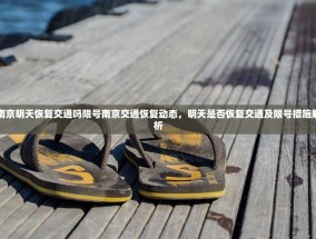 南京明天恢复交通吗限号南京交通恢复动态，明天是否恢复交通及限号措施解析