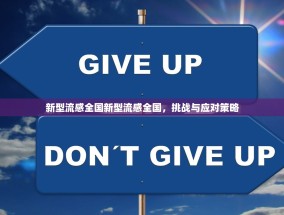 新型流感全国新型流感全国，挑战与应对策略