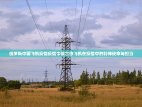 俄罗斯中国飞机疫情疫情中俄合作飞机在疫情中的特殊使命与担当