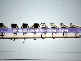 哪种交通摄像头拍限号探究哪种交通摄像头拍摄限号
