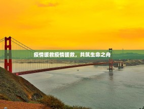 疫情援救疫情援救，共筑生命之舟