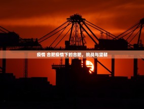 疫情 合肥疫情下的合肥，挑战与坚韧