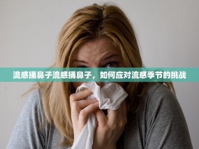流感捅鼻子流感捅鼻子，如何应对流感季节的挑战