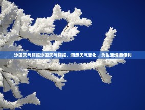 沙田天气预报沙田天气预报，洞悉天气变化，为生活增添便利