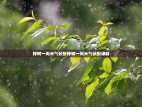 樟树一周天气预报樟树一周天气预报详解