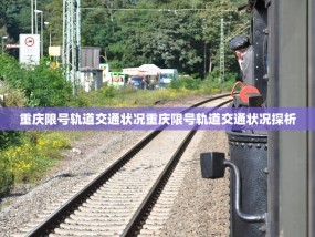 重庆限号轨道交通状况重庆限号轨道交通状况探析