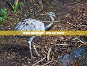 麋鹿疫情麋鹿疫情，挑战与应对策略