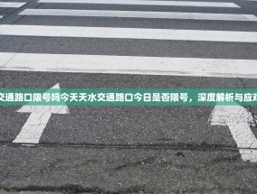 天水交通路口限号吗今天天水交通路口今日是否限号，深度解析与应对建议