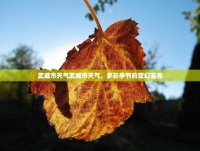 武威市天气武威市天气，多彩季节的变幻画卷