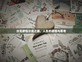 分流感悟分流之路，人生的感悟与思考