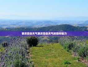 肇庆四会天气肇庆四会天气的独特魅力