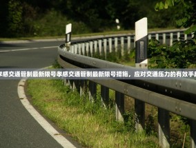孝感交通管制最新限号孝感交通管制最新限号措施，应对交通压力的有效手段