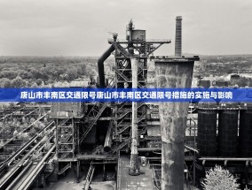 唐山市丰南区交通限号唐山市丰南区交通限号措施的实施与影响