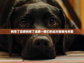 狗得了流感狗得了流感—我们的应对策略与关爱