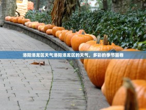 洛阳洛龙区天气洛阳洛龙区的天气，多彩的季节画卷