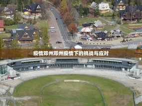 疫情邓州邓州疫情下的挑战与应对