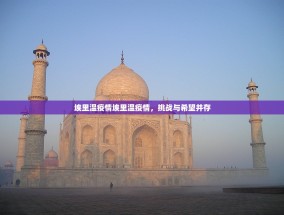 埃里温疫情埃里温疫情，挑战与希望并存