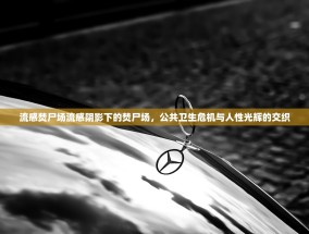 流感焚尸场流感阴影下的焚尸场，公共卫生危机与人性光辉的交织