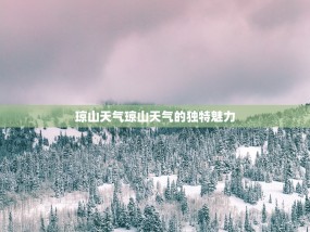 琼山天气琼山天气的独特魅力
