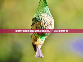 家禽会有禽流感吗家禽与禽流感，一场无声的较量