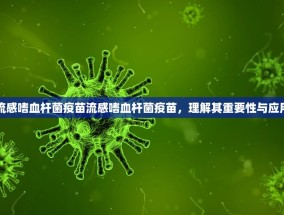流感嗜血杆菌疫苗流感嗜血杆菌疫苗，理解其重要性与应用