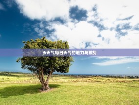 天天气每日天气的魅力与挑战