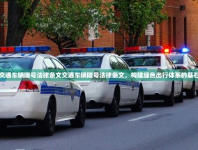 交通车辆限号法律条文交通车辆限号法律条文，构建绿色出行体系的基石