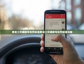 黑龙江交通限号处罚标准黑龙江交通限号处罚标准详解