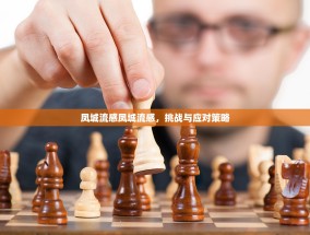 凤城流感凤城流感，挑战与应对策略