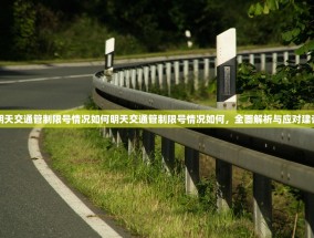 明天交通管制限号情况如何明天交通管制限号情况如何，全面解析与应对建议