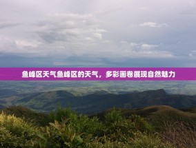 鱼峰区天气鱼峰区的天气，多彩画卷展现自然魅力
