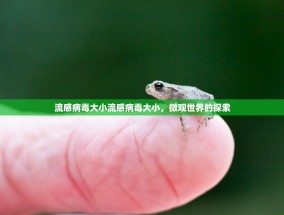 流感病毒大小流感病毒大小，微观世界的探索