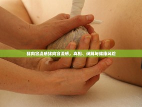 猪肉含流感猪肉含流感，真相、误解与健康风险