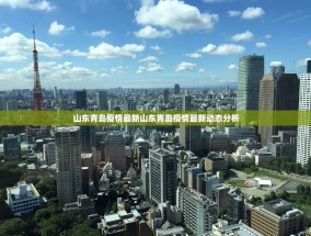 山东青岛疫情最新山东青岛疫情最新动态分析